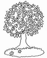 Baum Ausmalen Ausmalbilder Malvorlagen Malvorlage Kostenlos Malen Ausdrucken Blühender Bäume Kindern Vorlage Bluehender Weihnachten Baeume Frühling Vorlagen Blumen sketch template