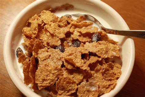 bowl  raisin bran breakfast cereal picture  photograph