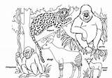 Coloring African Pages Savanna Rainforest Kids Animals Printable Color Getcolorings Getdrawings Realistic Sheets sketch template