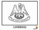 Louisiana Coloring Flag State Popular Designlooter Coloringhome sketch template