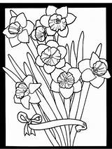 Colorat Primavara Flori Narcise Planse Desenat Dover Imagini Daffodil Wildflowers Multe Universdecopil Gasiti Interferente Poze sketch template