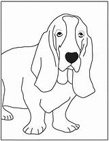 Basset Coloring Hound Template 41kb sketch template