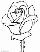 Rosen Cool2bkids Kolorowanki Ausmalbild Róża Samochody Kolorowanka Roza Rozy Kwiat sketch template
