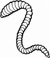 Regenwurm Worm Worms Earthworm Lombriz Ausmalbilder Ausmalbild Langer Lombrices Kleurplaten Lombrico Supercoloring Malvorlage Earthworms Imprimir Kategorien Regenwürmer Kleurplaat Weitere Herunterladen sketch template