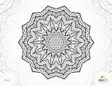 Coloringhome Adults Mandala sketch template