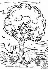 Baum Malvorlage Ausmalbild Ausmalbilder öffnet Setzt Anklicken Bildes sketch template