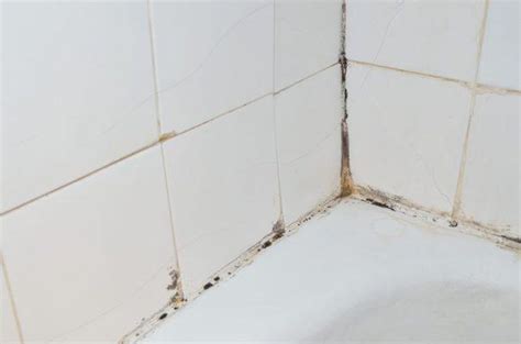 remove mold  shower caulking home