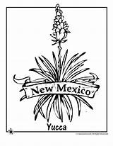 Mexico Flower Coloring State Pages Arkansas Clip Yucca Tree Plant Color Razorbacks Symbols Clipart Getcolorings Library Choose Board sketch template