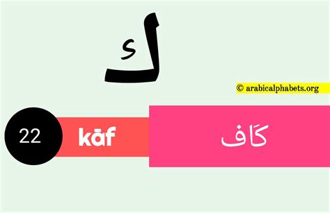 twenty  arabic alphabet letter