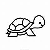 Tartaruga Colorir Kura Mewarnai Turtles Tortue Pngegg Iconfinder Coloriage Livre Dessin Nook Fulloption Kartun Similars Kisspng Ultracoloringpages sketch template