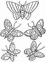 Butterflies Coloring Fun Kids Vlinder Vlinders Votes sketch template