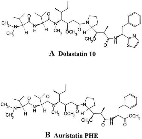 structures  dolastatin    auristatin phe   scientific diagram