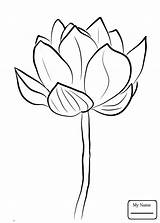 Coloring Lotus Pages Blossom Getcolorings Printable sketch template