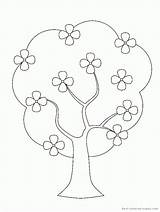 Flowering Coloringhome Evergreen sketch template