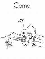 Camel Coloring Worksheet Desert Pages Sheet Arabian Tall Am Printable Print Kids Twistynoodle Handwriting Caravan Outline Favorites Login Add Noodle sketch template