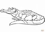 Krokodil Crocodile Ausmalbild Supercoloring sketch template