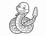 Rattlesnake Coloring Coloringcrew sketch template