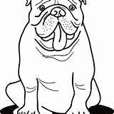 Bulldog English Pages Coloring Face Getdrawings Printable Color Getcolorings sketch template