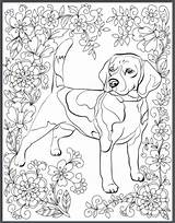 Colouring Beagle Iheartdogs Instantly Erwachsene Zum Hunde Ausmalen Haustiere Mindfulness sketch template