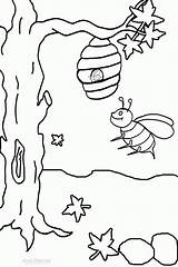 Bumble Hummel Insect Bees Kostenlos Ausmalbild Cool2bkids sketch template
