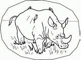Coloring Pages Rhino Rhinoceros Printable Animals Kids Endangered Rhinos Color Colouring Rainforest Print Species Preschool Sheet Animal Child Fun Comments sketch template