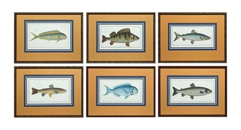 set   framed prints  fish