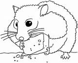 Hamster Coloring Pages Printable Animals Color Print sketch template