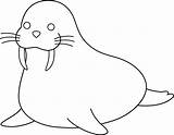 Walrus Morse Pages Animaux Coloriage Sweetclipart Colorable Coloriages Colorier sketch template