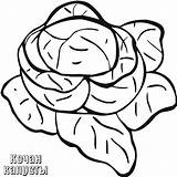 Cabbage Coloring Pages Fruits Vegetables Cucumber sketch template