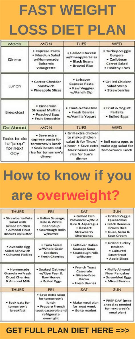 15 Must Watch Quick Weight Loss Diet Plan Food Best Product Reviews