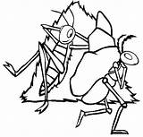 Ant Grasshopper Coloring Pages Anteater Kids Drawing Ants Lazy Getdrawings Colour Instructions Basic Color sketch template
