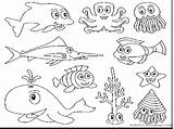 Coloring Pages Animals Underwater Sea Getcolorings Creature Printable sketch template