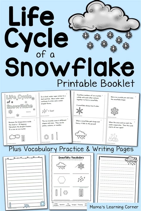 life cycle   snowflake booklet mamas learning corner