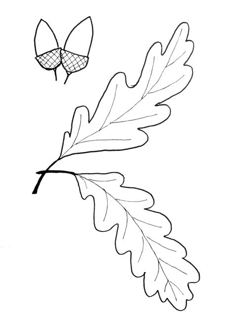 leaf templates  leaves google search leaves template