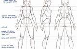 Anatomia Espaldas Bocetos Humana Figura Pers sketch template