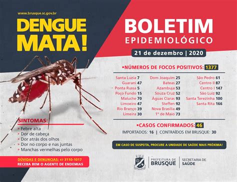 dois novos casos de dengue são registrados em brusque