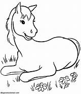 Coloring Horse Pages Printable Preschool Animals sketch template