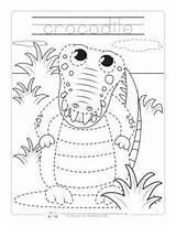 Jungle Worksheets Crocodile Itsybitsyfun sketch template