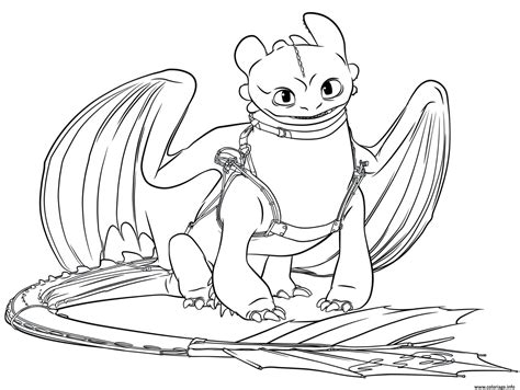coloriage toothless dragon  dessin dragon  imprimer