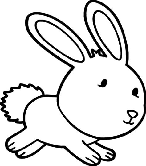 bunny coloring pages coloringstar clipart  clipart