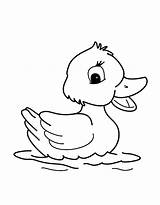 Eend Kleurplaat Baby Tekening Dieren Eenden Eendje Pato Tekenen Feo Patito Eenvoudige Duckling Ducks Tekeningen Zoek Doodles Sencillos Garabatos Mamá sketch template