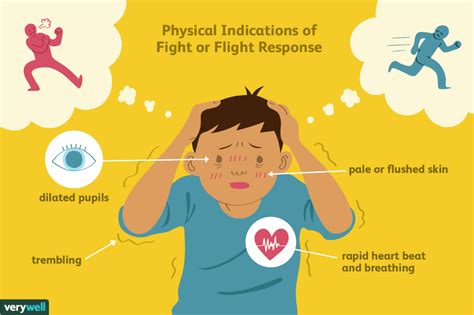 fight  flight response   physiological reaction   prepares  bodies  stay