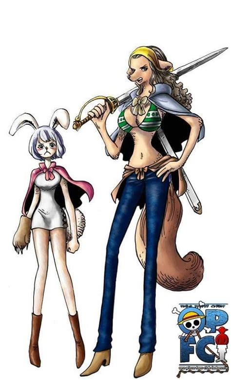 Carrot And Wanda One Piece And Other Anime Pinterest