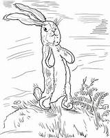Rabbit Velveteen Coloring Pages Drawing Supercoloring Printable Color Silhouettes sketch template