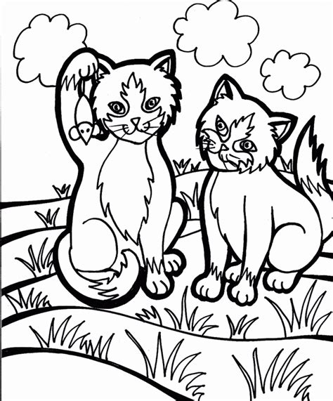 cat coloring page cat  printable coloring pages animals