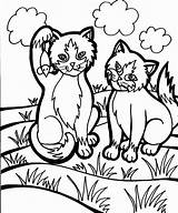 Coloring Cat Pages Color Animal Printable Year Old Animals Girls Print Iriomote Kids Kitty Adults Cats Sheet Clipart Kitten Fun sketch template