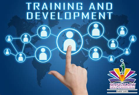 training  development   organisation