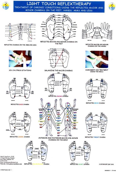 reflexology light touch poster clinical charts and supplies