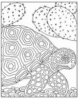 Coloring Animals Big Zendoodle Magnificent Animal Adults Pages Macmillan Adult Books sketch template