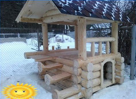 winter dog house  care   warmth   pet